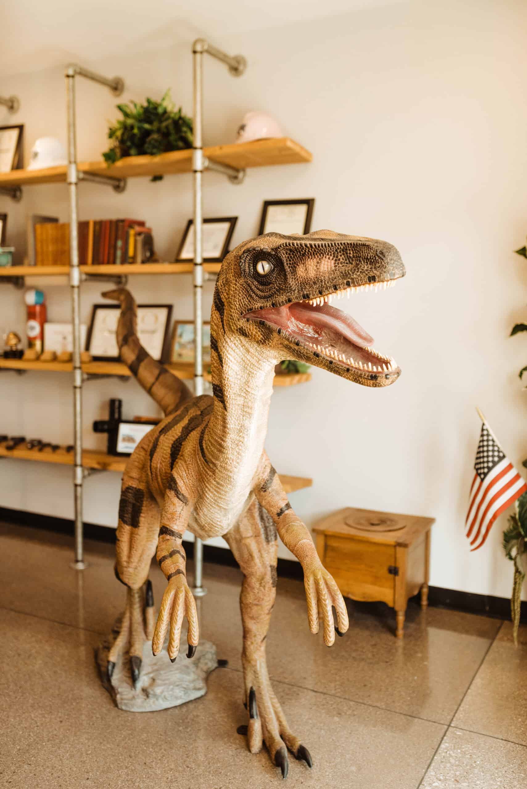 Velociraptor statue displayed inside an office space, with shelving, framed certificates, and decor visible in the background.